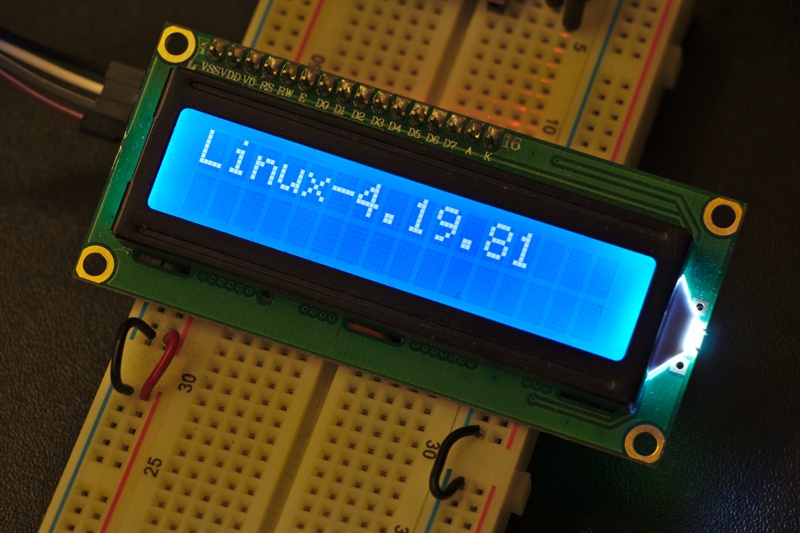 The screen is displaying "Linux 4.19.81"